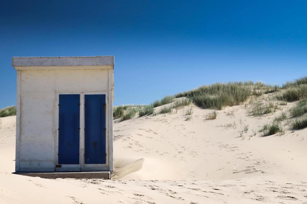 Le Presbytere Des Baraques A Bleriot-Plage - Apt 3 Sangatte Eksteriør billede