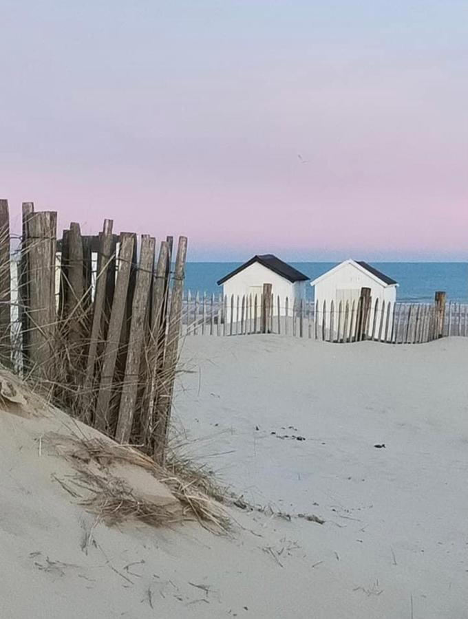 Le Presbytere Des Baraques A Bleriot-Plage - Apt 3 Sangatte Eksteriør billede
